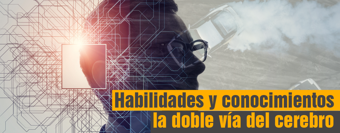 Habilidades y conocimientos